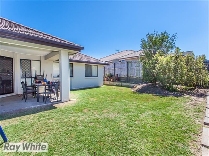 Griffin QLD 4503