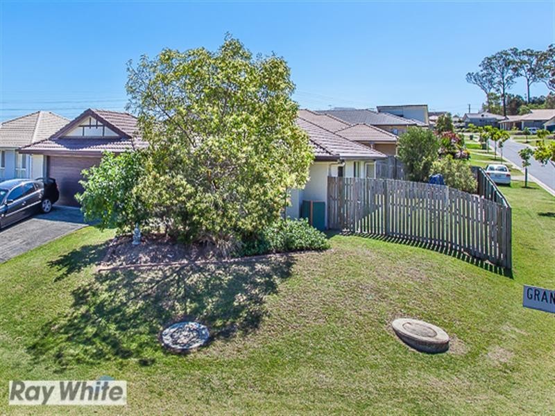Griffin QLD 4503