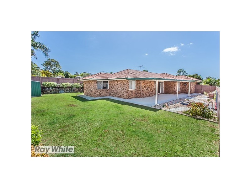 Griffin QLD 4503