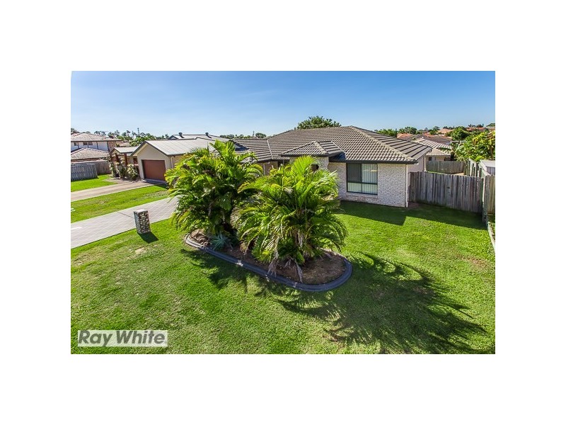 11 Castlereagh Street, Murrumba Downs QLD 4503