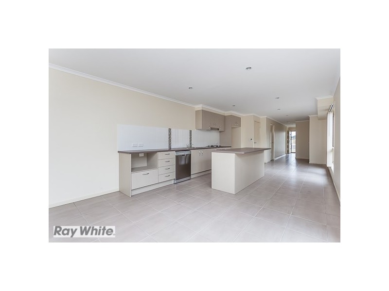 Griffin QLD 4503