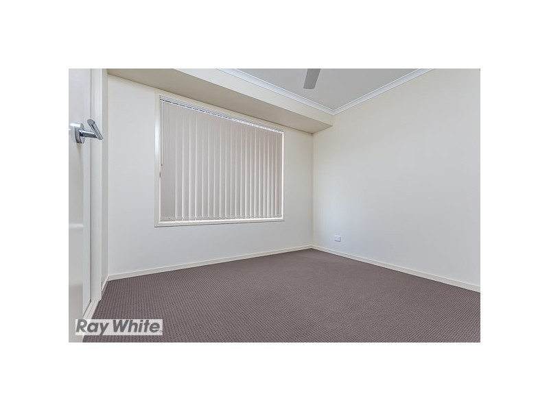 Griffin QLD 4503