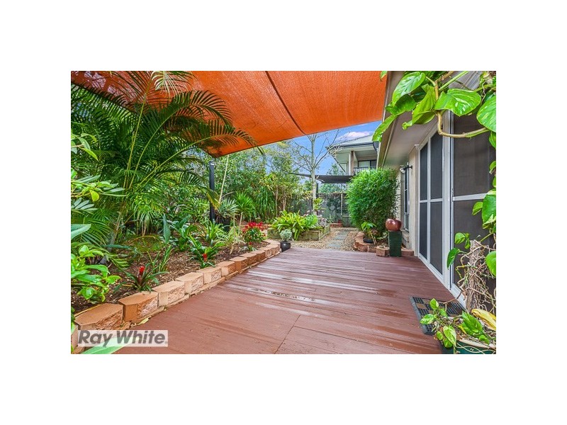 9 Riley Court, North Lakes QLD 4509