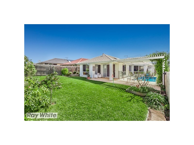 66 Clove Street, Griffin QLD 4503