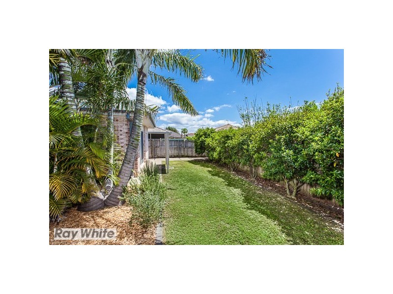 Murrumba Downs QLD 4503