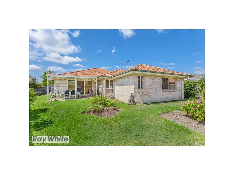 Murrumba Downs QLD 4503