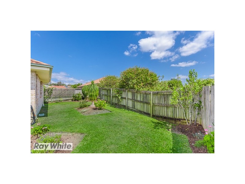 Murrumba Downs QLD 4503