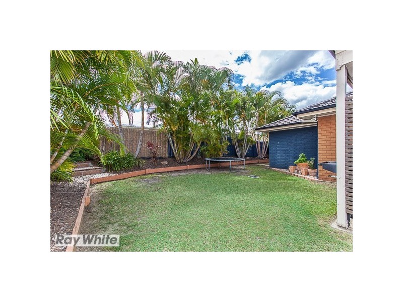 12 Murchison Court, Murrumba Downs QLD 4503