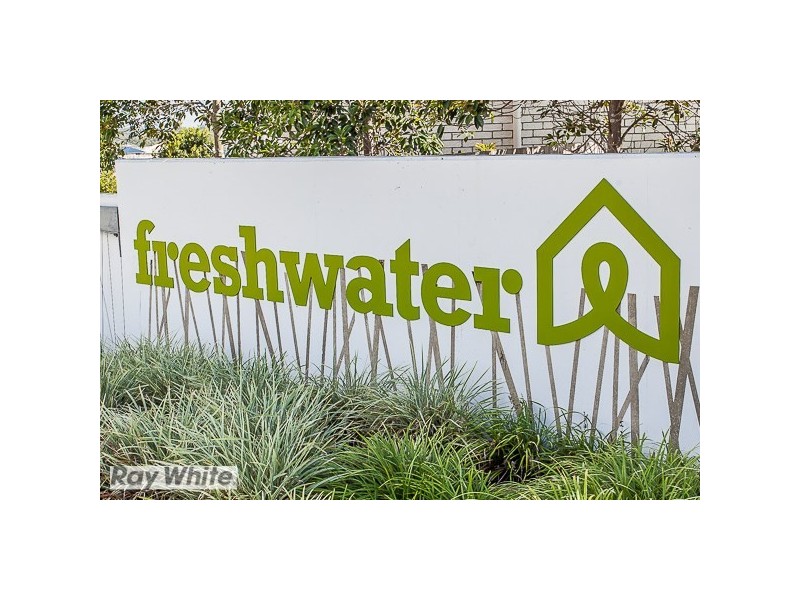 53 Lemongrass Circuit, Griffin QLD 4503