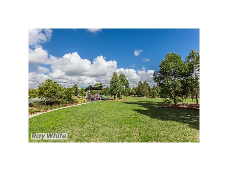 53 Lemongrass Circuit, Griffin QLD 4503