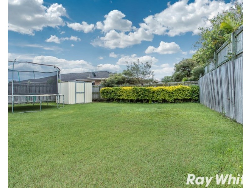 Murrumba Downs QLD 4503