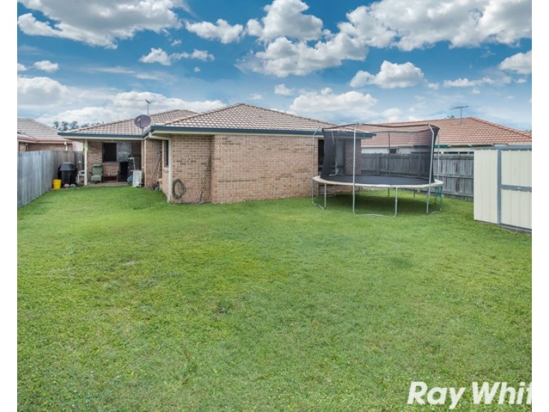 Murrumba Downs QLD 4503