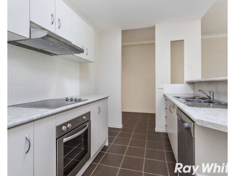 52 Elkington Circuit, North Lakes QLD 4509