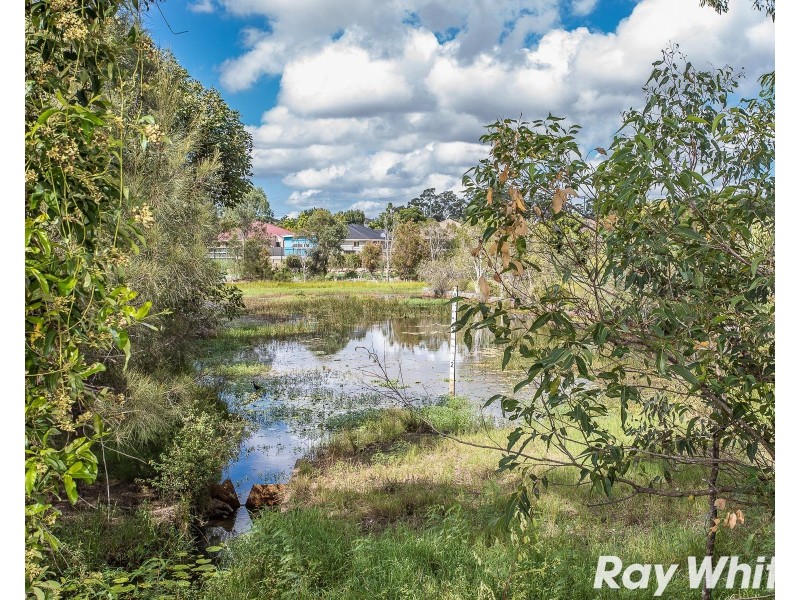 24 Barwon Street, Murrumba Downs QLD 4503