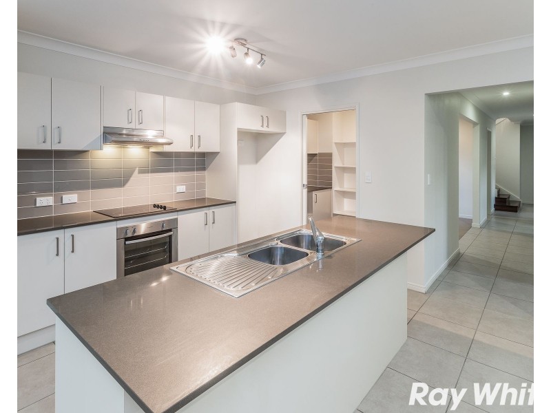 17 Wallin Street, Kedron QLD 4031