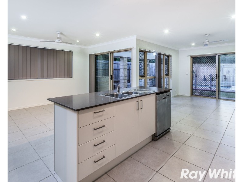 17 Wallin Street, Kedron QLD 4031