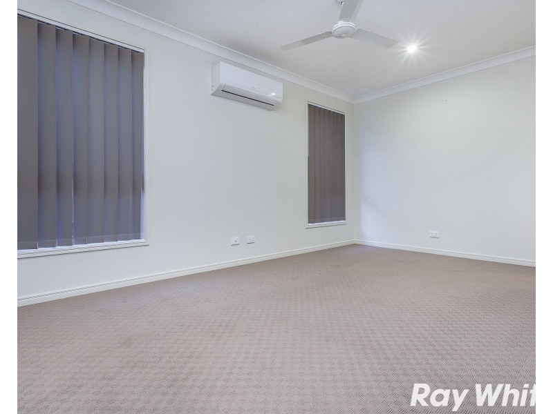 17 Wallin Street, Kedron QLD 4031