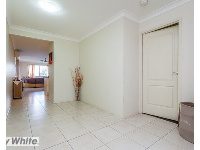 Griffin QLD 4503