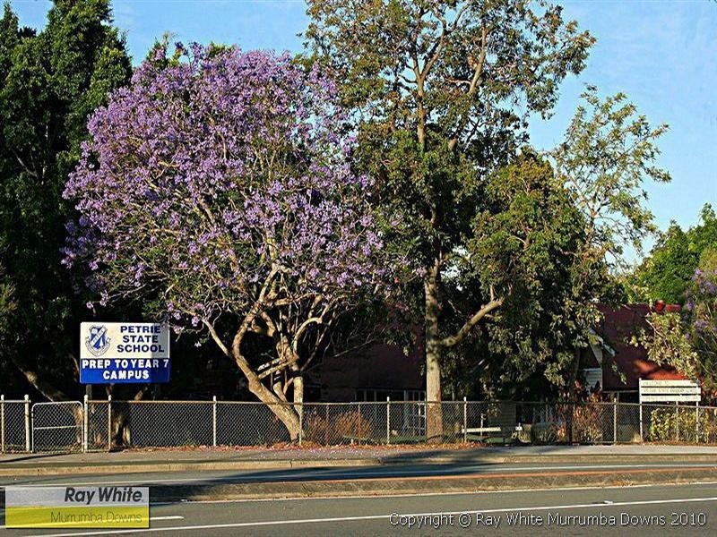 24 Woonara Drive, Petrie QLD 4502