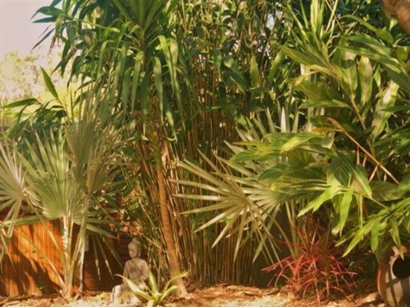 43 Rose Street West, Mango Hill QLD 4509