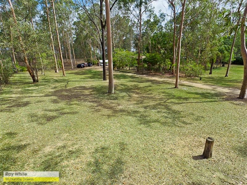 47 Torrens Road, Petrie QLD 4502