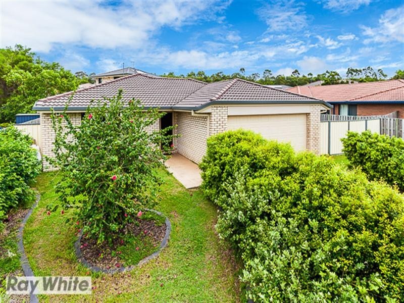 Griffin QLD 4503
