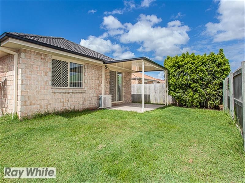 Meadowbrook QLD 4131