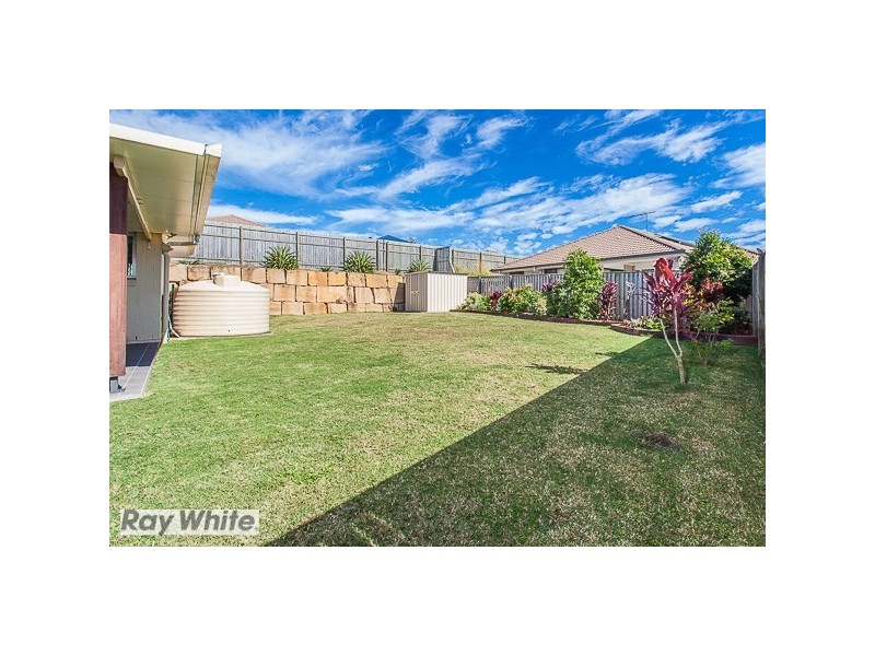 3 Basil Street, Griffin QLD 4503