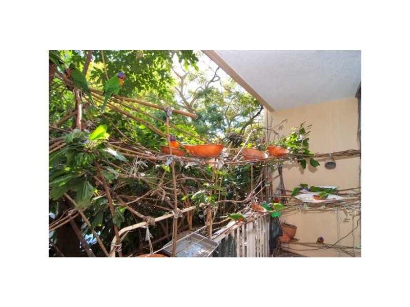 104/76 Roslyn Gardens, Elizabeth Bay NSW 2011