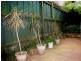6 Palmer Lane, Darlinghurst NSW 2010