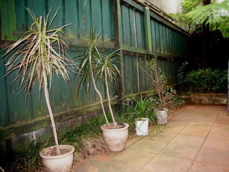 6 Palmer Lane, Darlinghurst NSW 2010