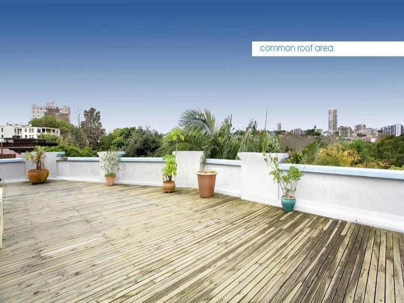 3/3 Waratah Street, Rushcutters Bay NSW 2011