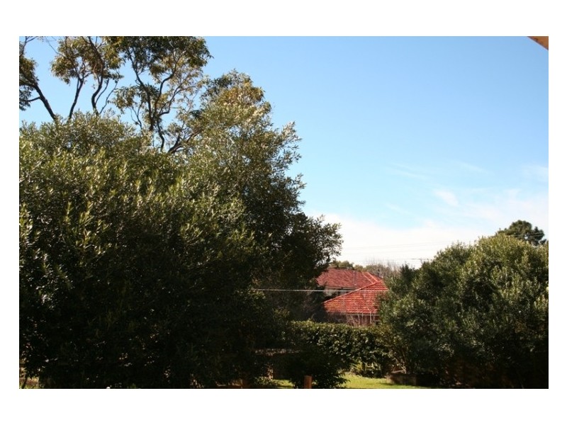 38 Macpherson Street, Bronte NSW 2024