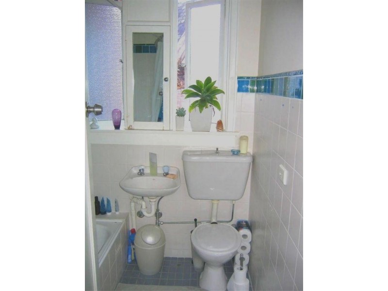 16 Clement Street, Rushcutters Bay NSW 2011