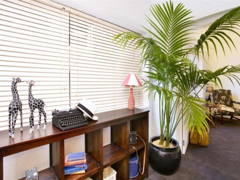 5/2 Waratah Street, Elizabeth Bay NSW 2011