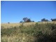 140 Arkells Lane, Wandong VIC 3758