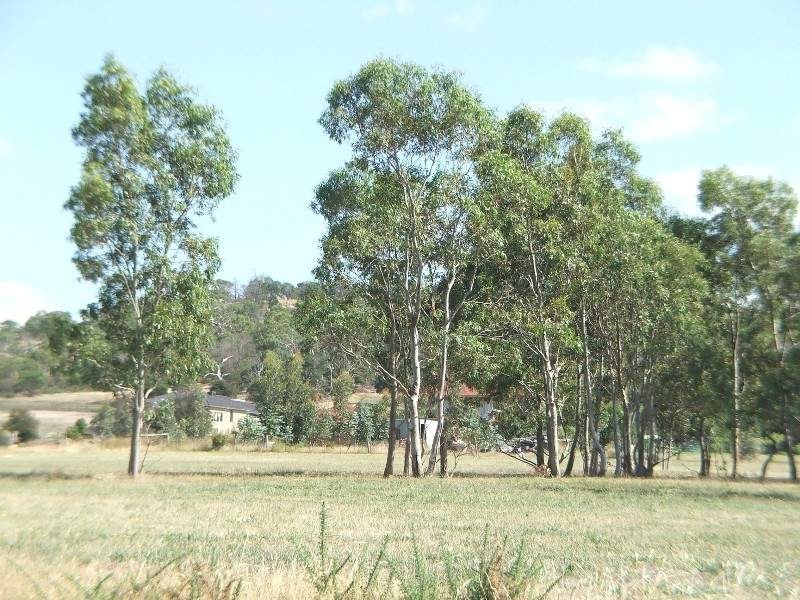 Lot 55 Glory Street, South Morang VIC 3752