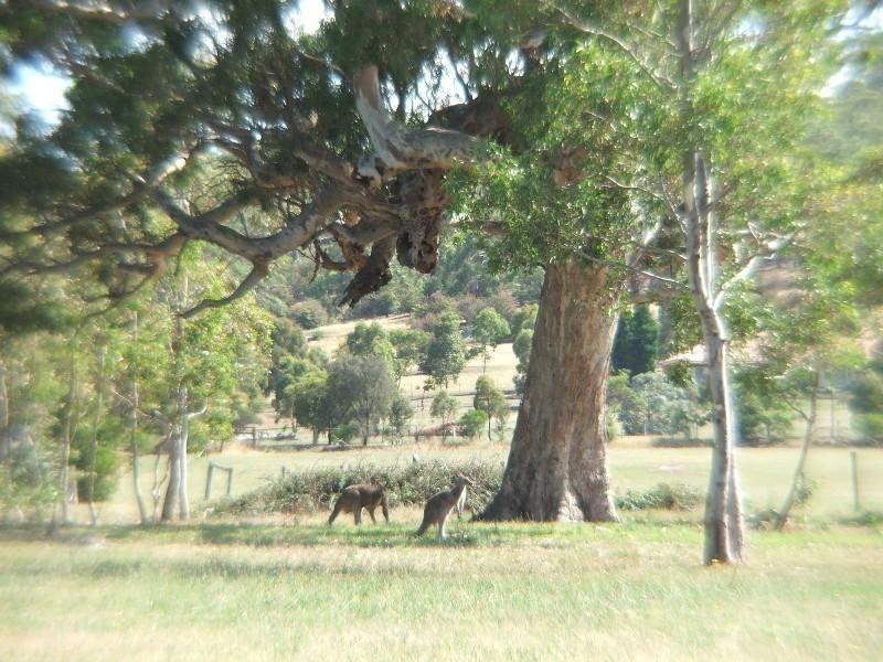 Lot 55 Glory Street, South Morang VIC 3752