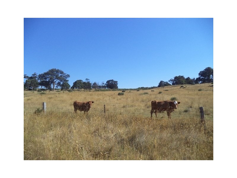 140 Arkells Lane, Wandong VIC 3758