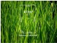 Lot 518 – 15 Ferngully Crescent, South Morang VIC 3752