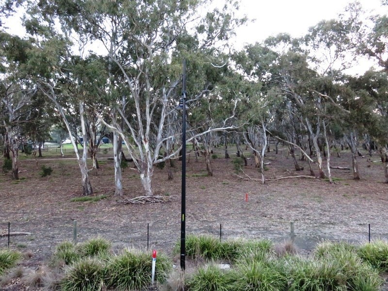 3 Treemont Terrace, Mernda VIC 3754