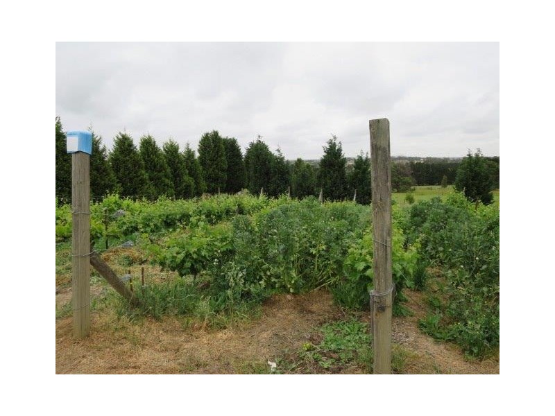 134 Sixth Avenue, Eden Park VIC 3757