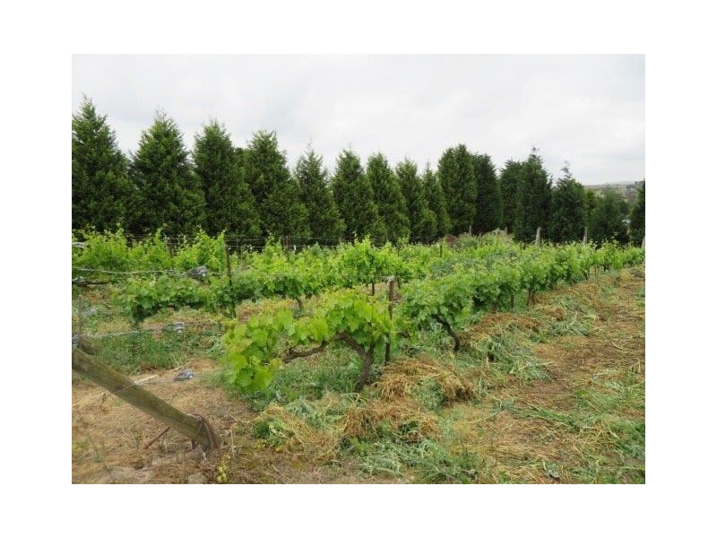 134 Sixth Avenue, Eden Park VIC 3757