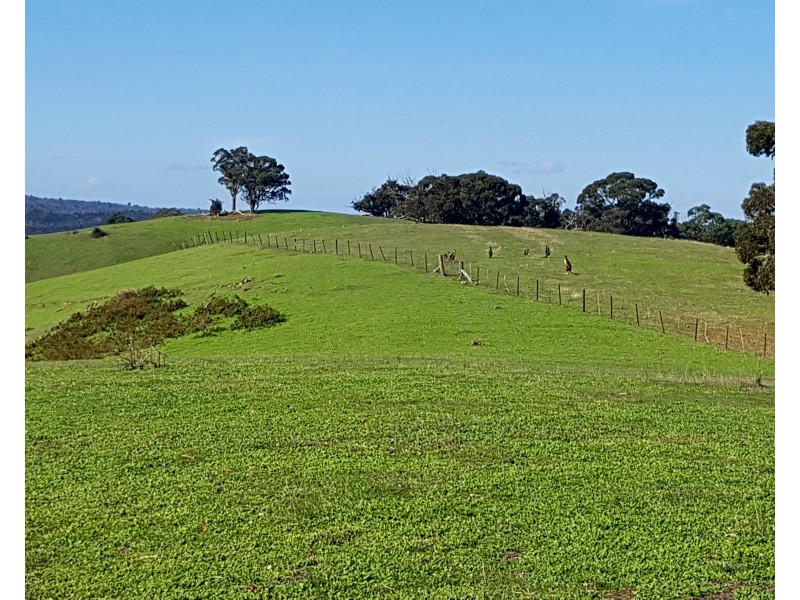 540 Doctors Creek Road, Reedy Creek VIC 3658