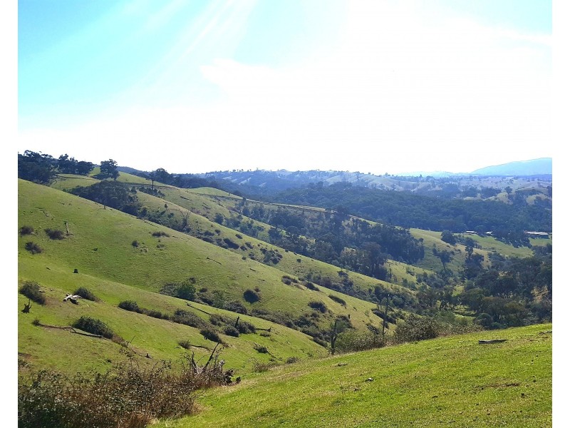 540 Doctors Creek Road, Reedy Creek VIC 3658