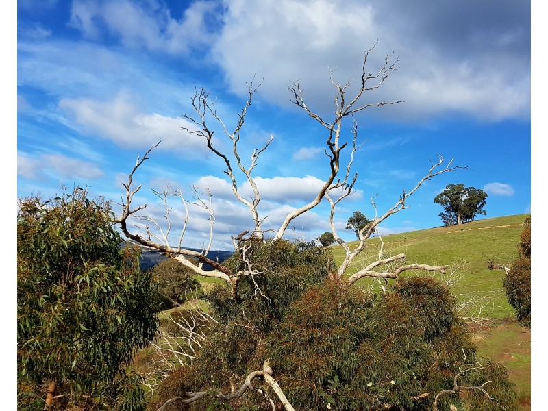 540 Doctors Creek Road, Reedy Creek VIC 3658