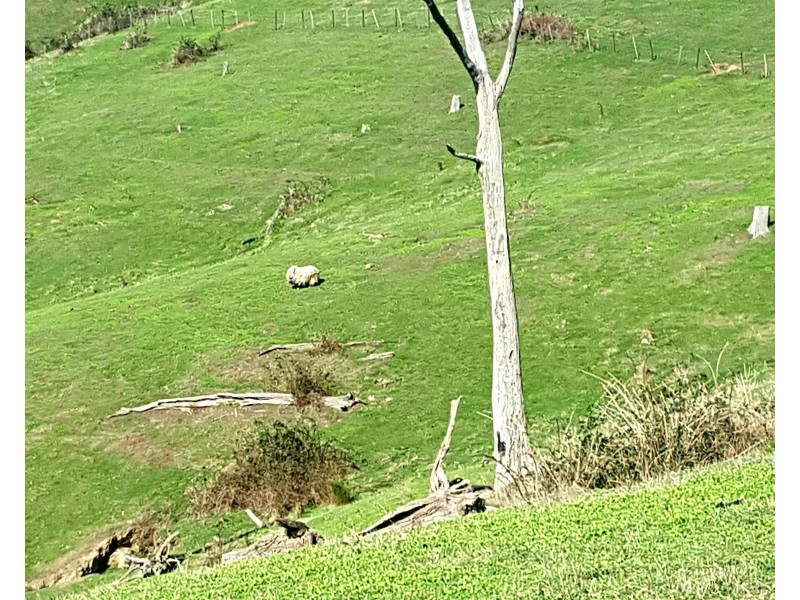 540 Doctors Creek Road, Reedy Creek VIC 3658