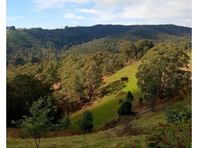 540 Doctors Creek Road, Reedy Creek VIC 3658