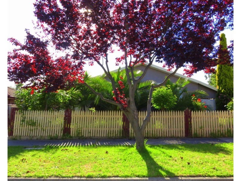 3 Corrigan Place, Mill Park VIC 3082