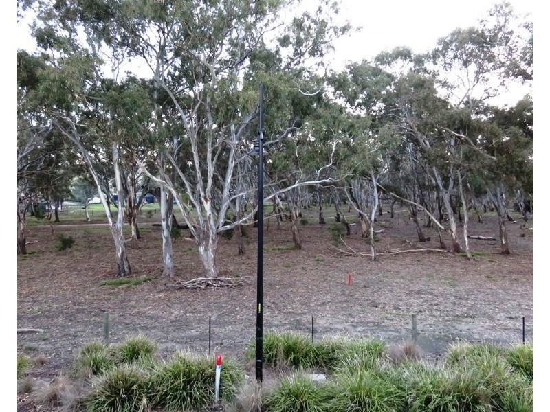 3 Treemont Terrace, Mernda VIC 3754